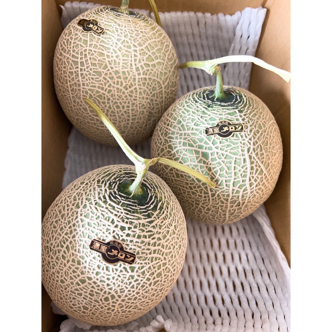 渥美半島の最高級メロン アールスメロン メロン 温室メロン マスクメロン