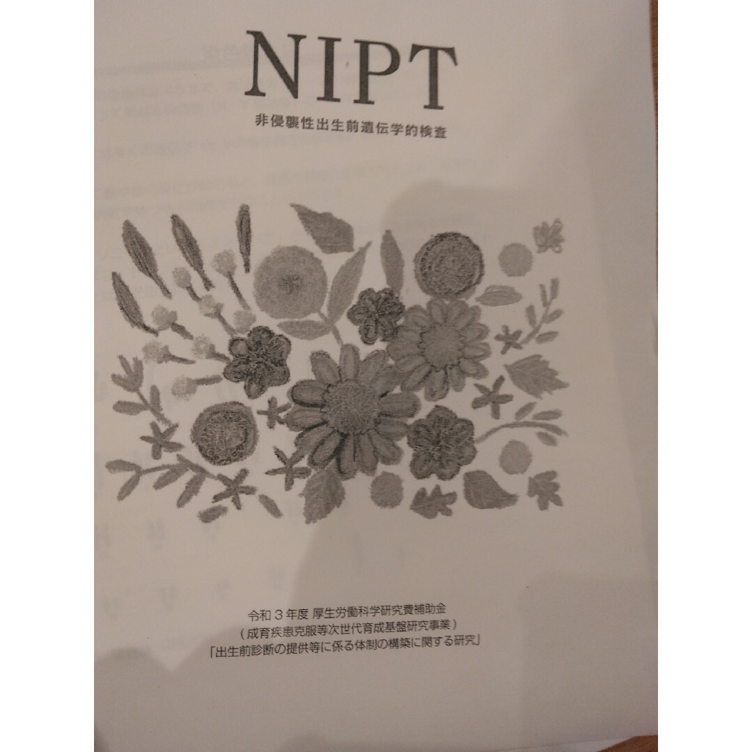 NIPT  出生前診断  【病院資料】 エンタメ/ホビーの雑誌(結婚/出産/子育て)の商品写真