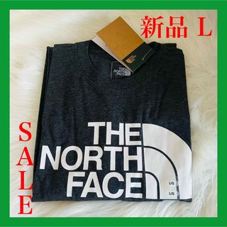 ザノースフェイス(THE NORTH FACE)のTHE NORTH FACE ノースフェイス 半袖  Tシャツ 半袖 ロゴT(Tシャツ/カットソー(半袖/袖なし))