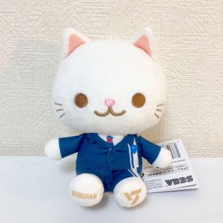 セブンティーン(SEVENTEEN)の【匿名発送】新品 SEVENTEEN セブチ ミニぬいぐるみ ジョンハン(ぬいぐるみ)