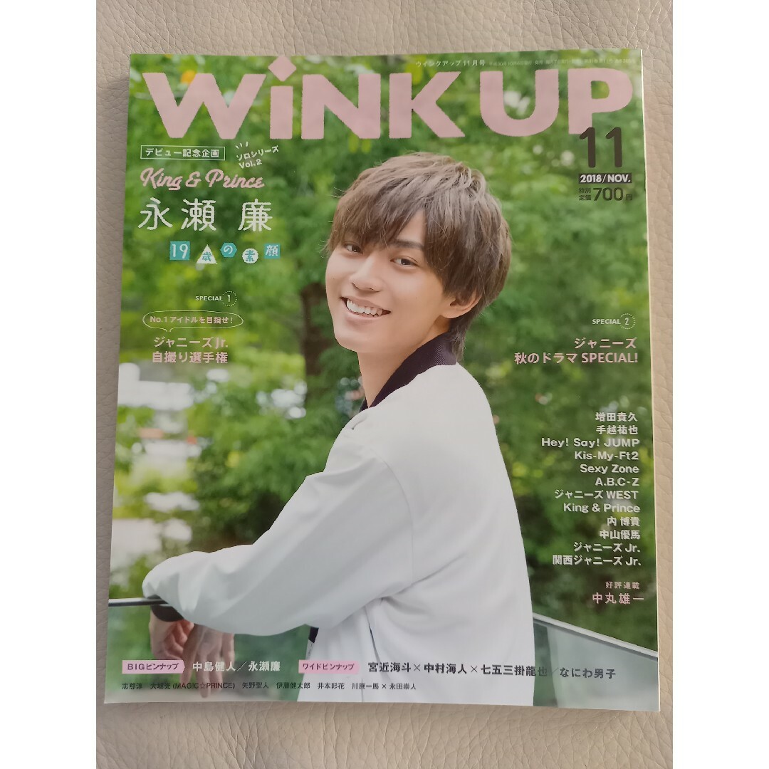 WiNKUP 2018年 11月 永瀬廉 1冊 エンタメ/ホビーの雑誌(アート/エンタメ/ホビー)の商品写真