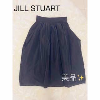 ジルバイジルスチュアート(JILL by JILLSTUART)のJILL by JILL STUART スカート(ひざ丈スカート)