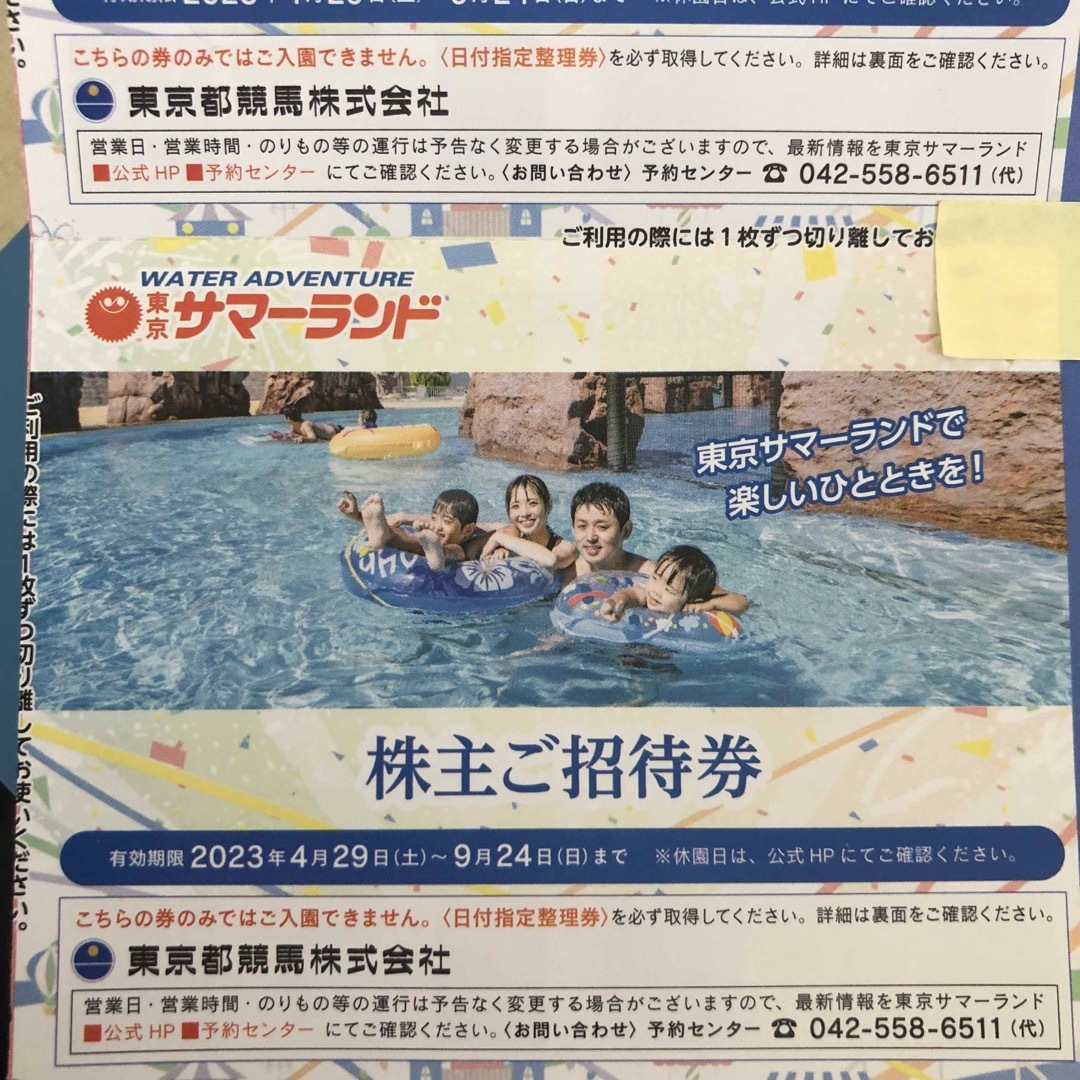 東京サマーランド 1DAY 東京サマーランド株主優待券 サマーランド株主
