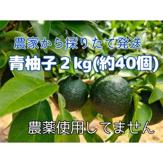 ゆず（青柚子）２kg(50個〜)以上＊収穫後発送＊無農薬＊徳島県(フルーツ)