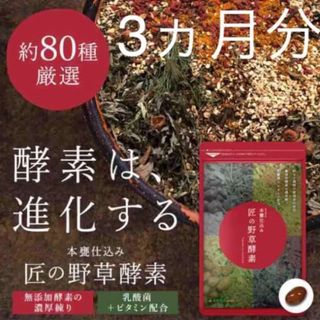 匠の野草酵素 野菜酵素 練酵素 ビタミン 乳酸菌  サプリメント 約3ヵ月分(その他)