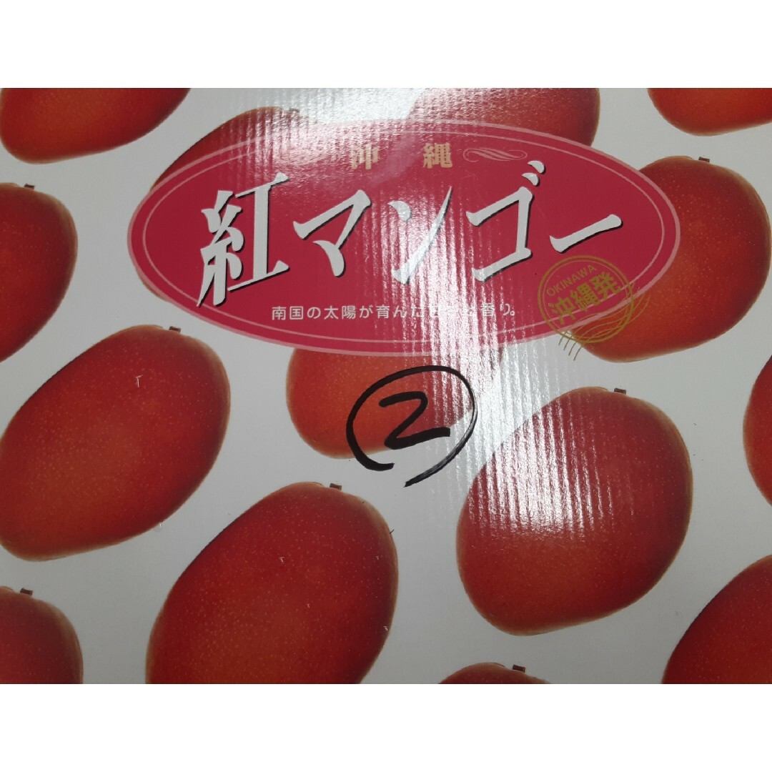 紅マンゴー2㎏② 食品/飲料/酒の食品(フルーツ)の商品写真