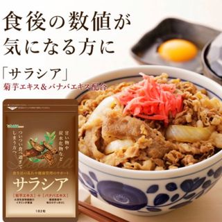 サラシア  炭水化物ブロック 菊芋  ダイエットサプリメント 約3ヵ月分 (その他)