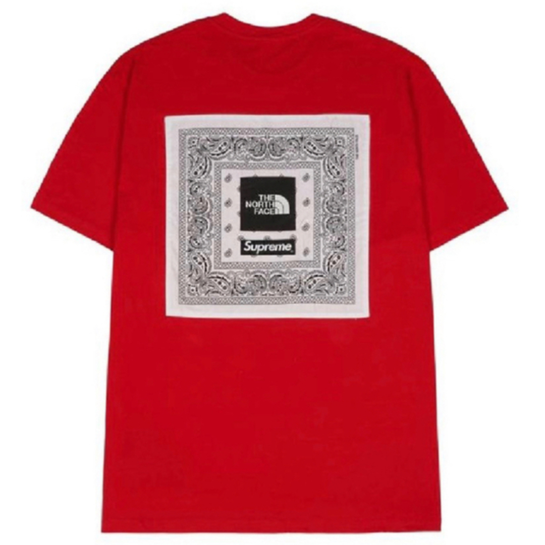 Supreme / The North Face Bandana TeeTシャツ/カットソー(半袖/袖なし)