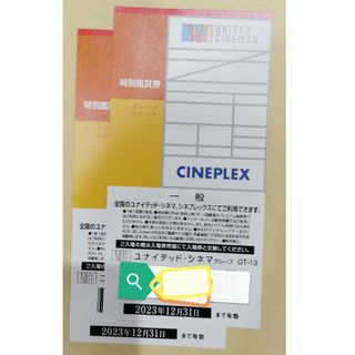 ユナイテッドシネマ　映画鑑賞券2枚(その他)