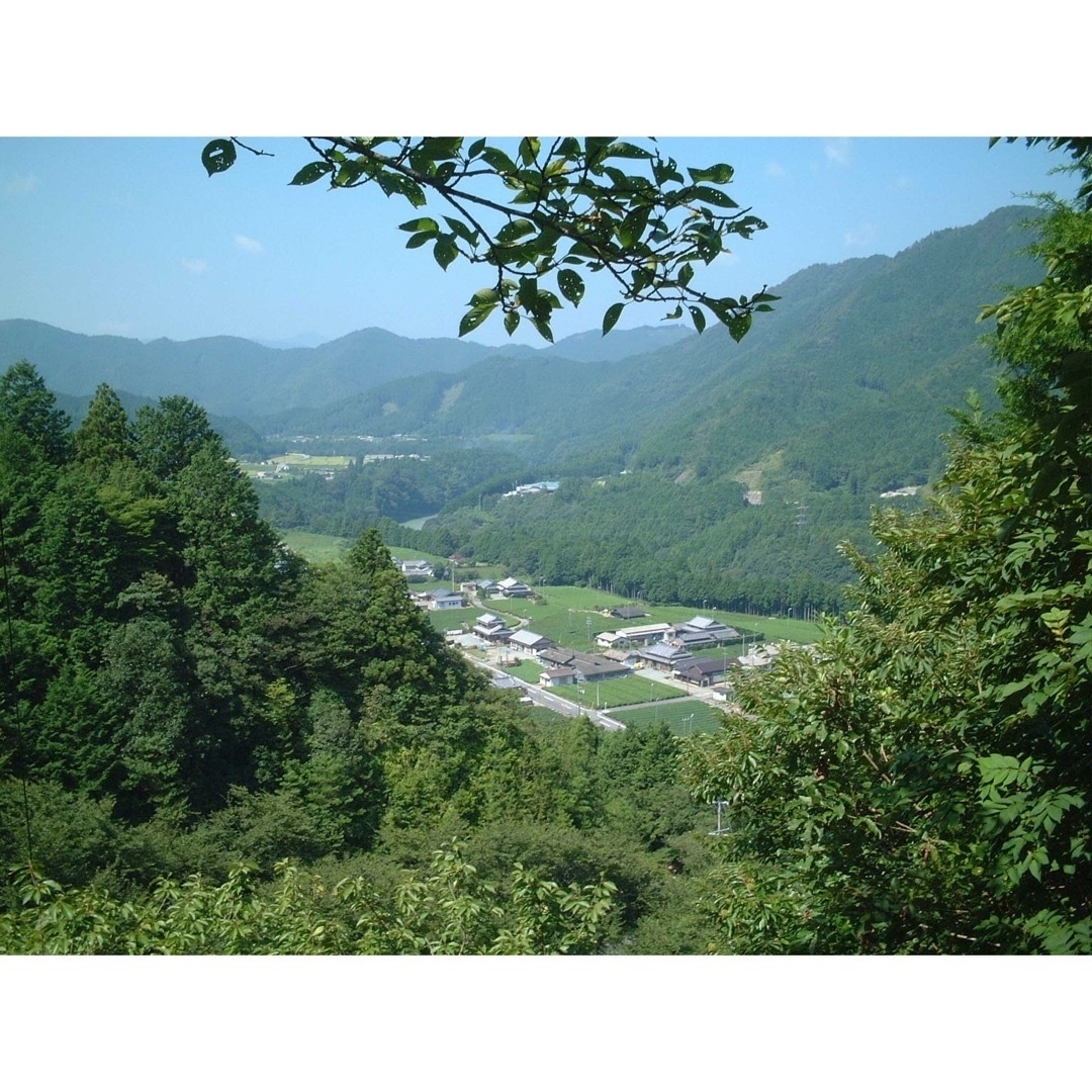 こだわりのお茶屋さんの最上煎茶100g×5袋厳選した最上級の煎茶☆お茶☆緑茶の通販 by こだわりのお茶屋さん こだわりのお茶屋さんの最上煎茶100g×5袋■厳選した最上級の煎茶★お茶★緑茶
