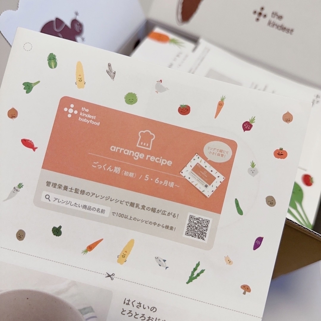 定期便セット】the kindest 5ヶ月(ごっくん期)20パウチ - その他