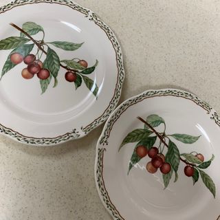 ノリタケ(Noritake)のロイヤルオーチャード(食器)