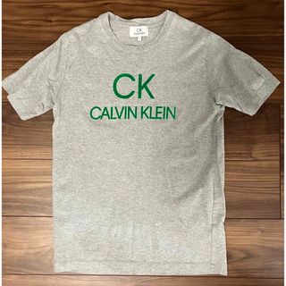 カルバンクライン(Calvin Klein)の美品　Calvin Klein 半袖Tシャツ　グレー(Tシャツ/カットソー(半袖/袖なし))