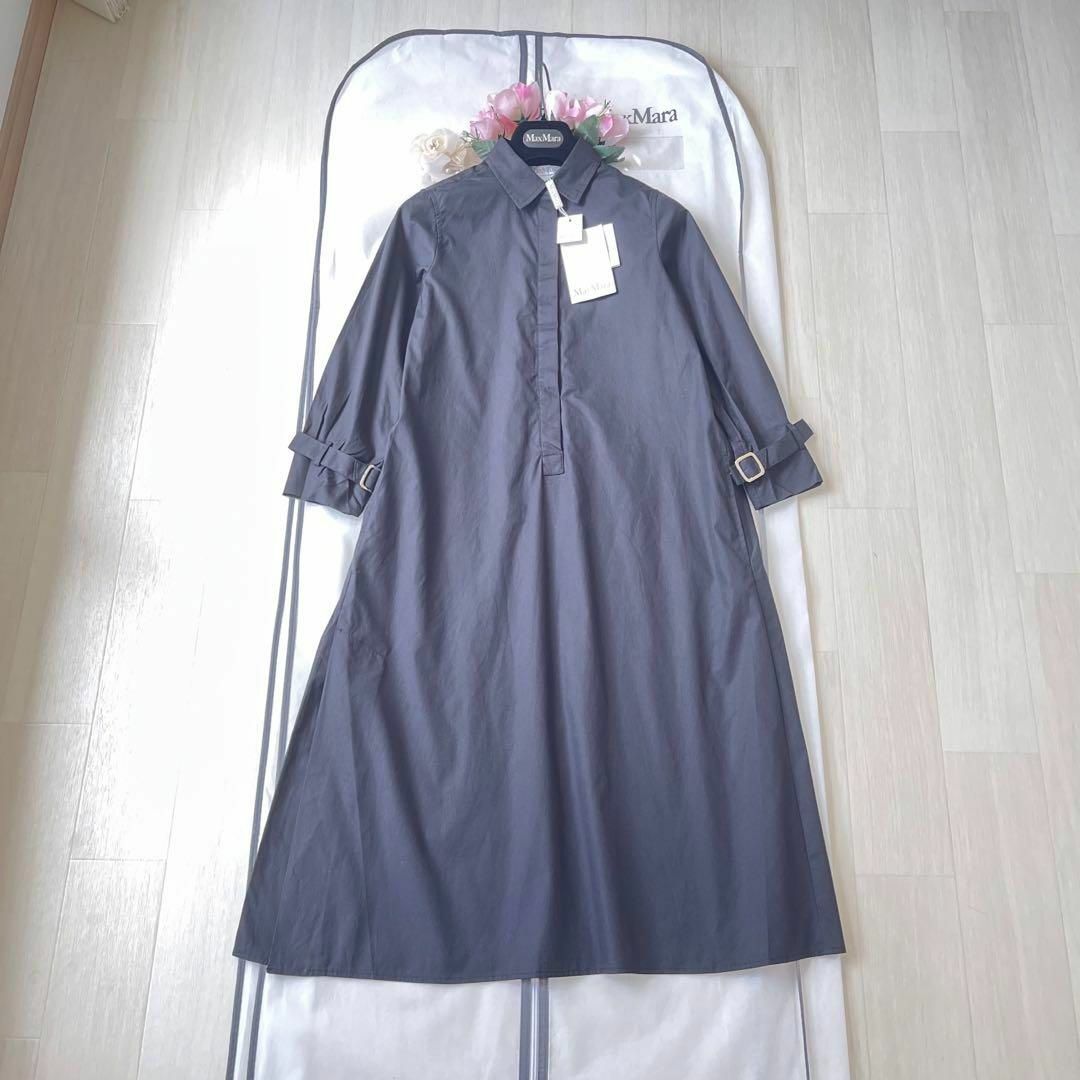Max Mara - 新品タグ付き✨マックスマーラ 近年モデル 最高級白タグ
