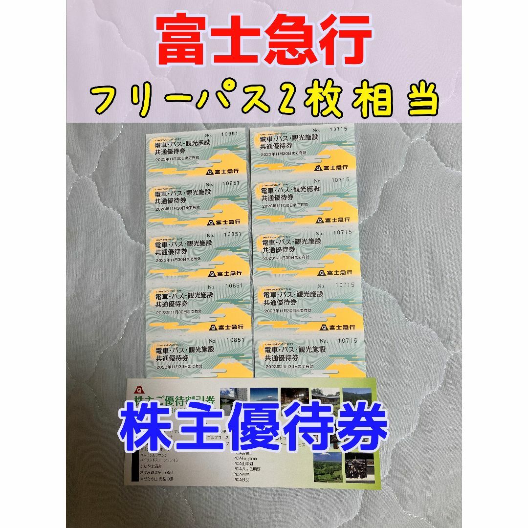 富士急ハイランド フリーパス２枚と同等 富士急行 優待乗車券/交通券