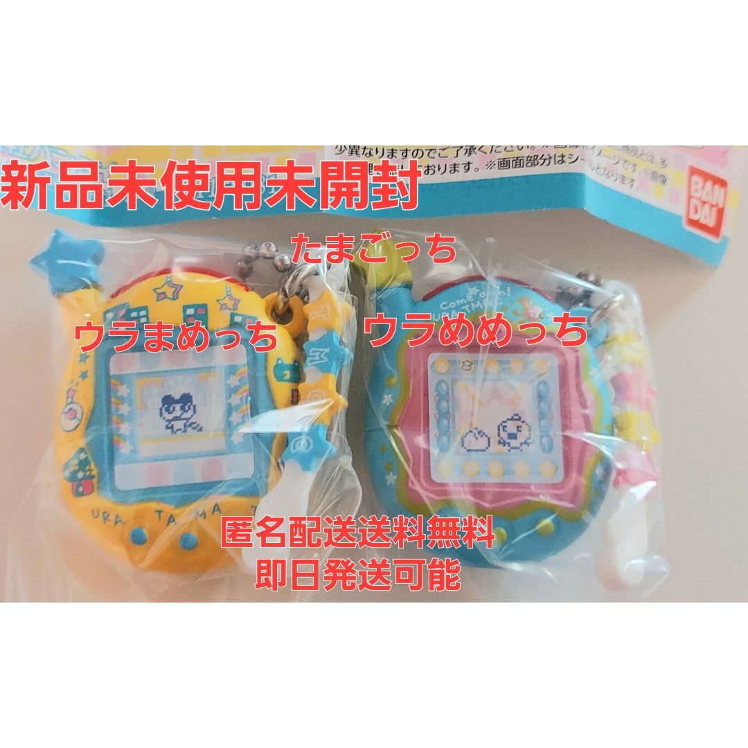 在庫ラスト!ウラまめっちウラめめっち匿名配送送料無料即日発送可能 エンタメ/ホビーのアニメグッズ(その他)の商品写真