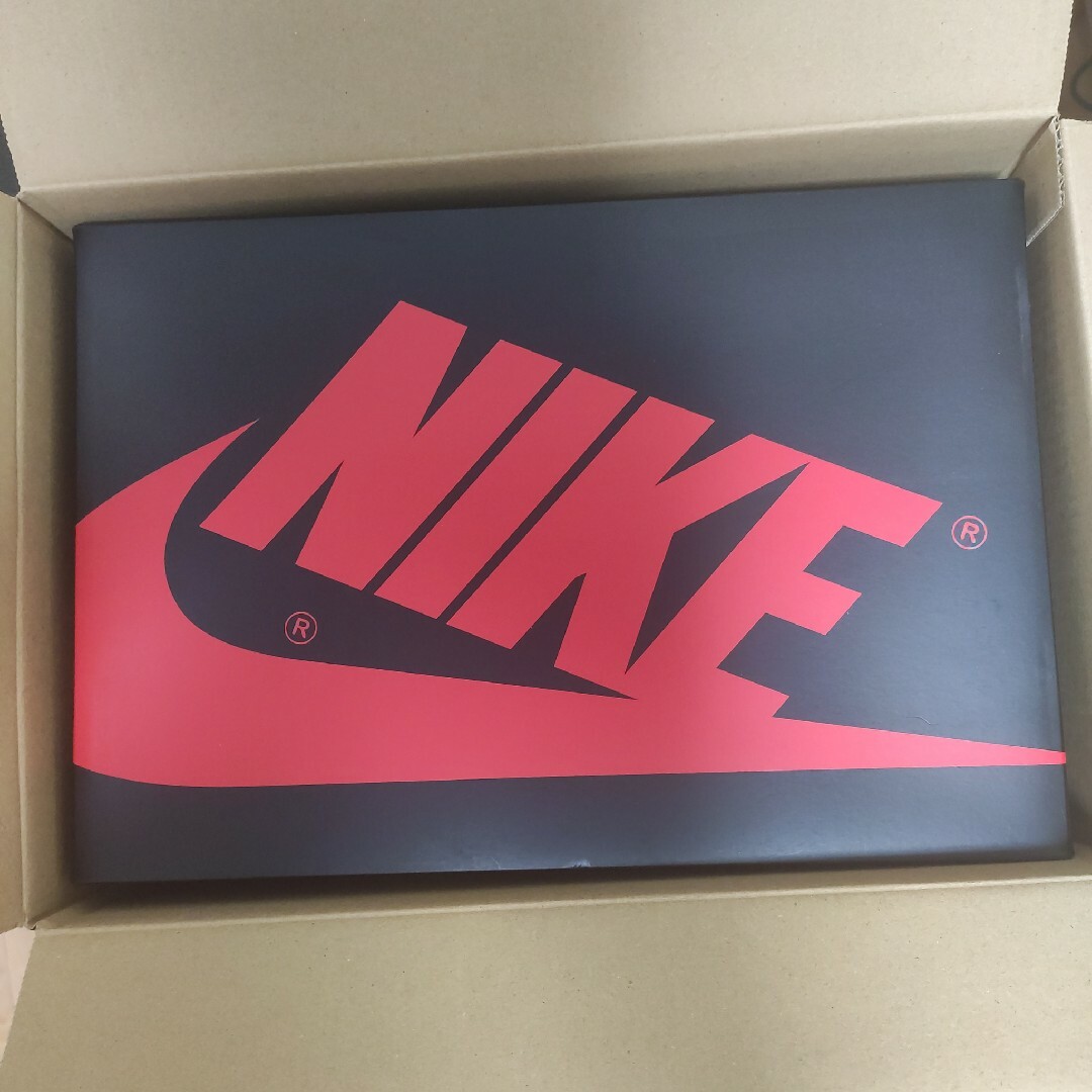 28cm Nike Air Jordan 1 Retro Low OG US10