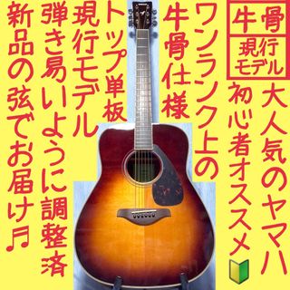ヤマハ ストレート アコースティックギターの通販 95点 | ヤマハの楽器