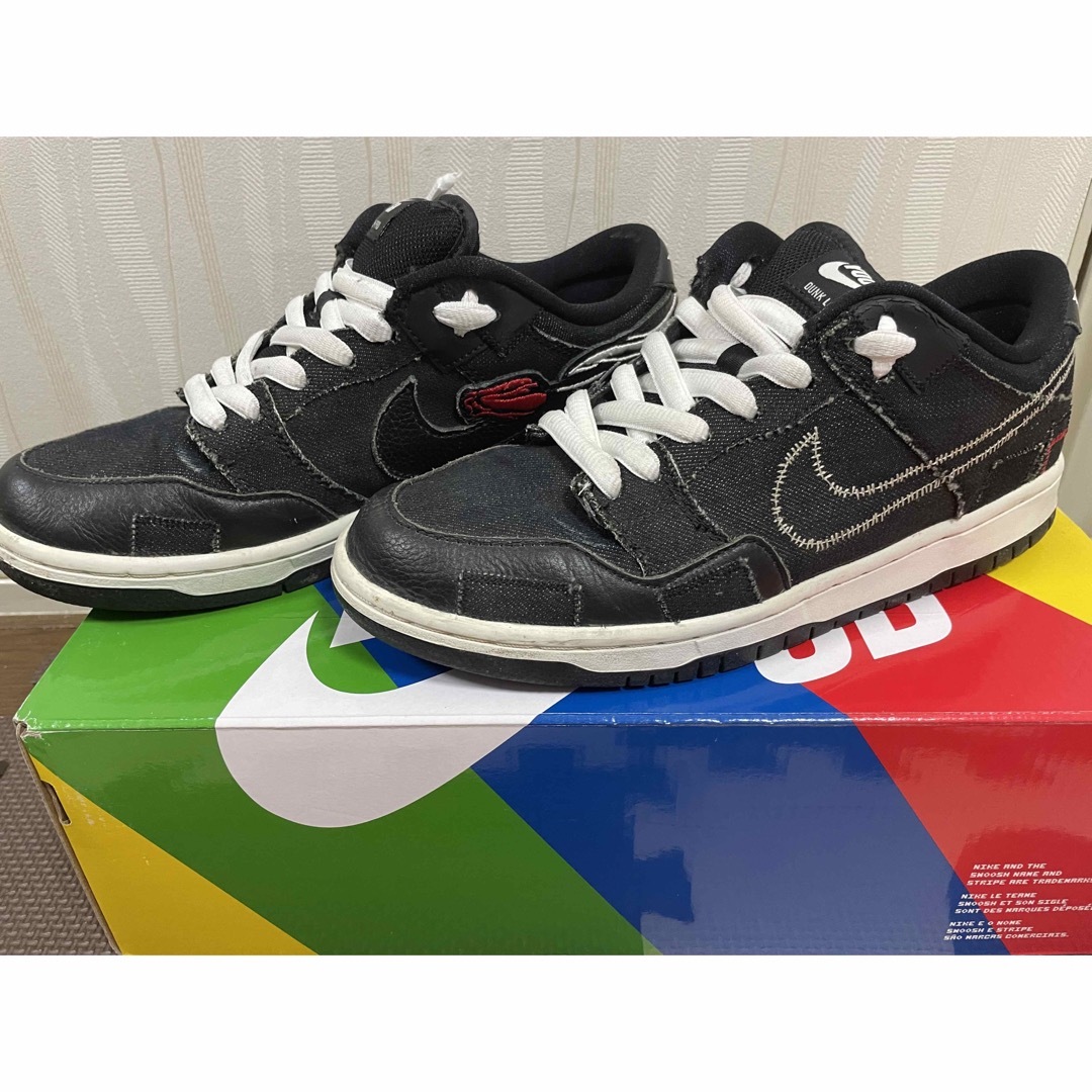 NIKE SB DUNK LOW WASTED YOUTH 25.5