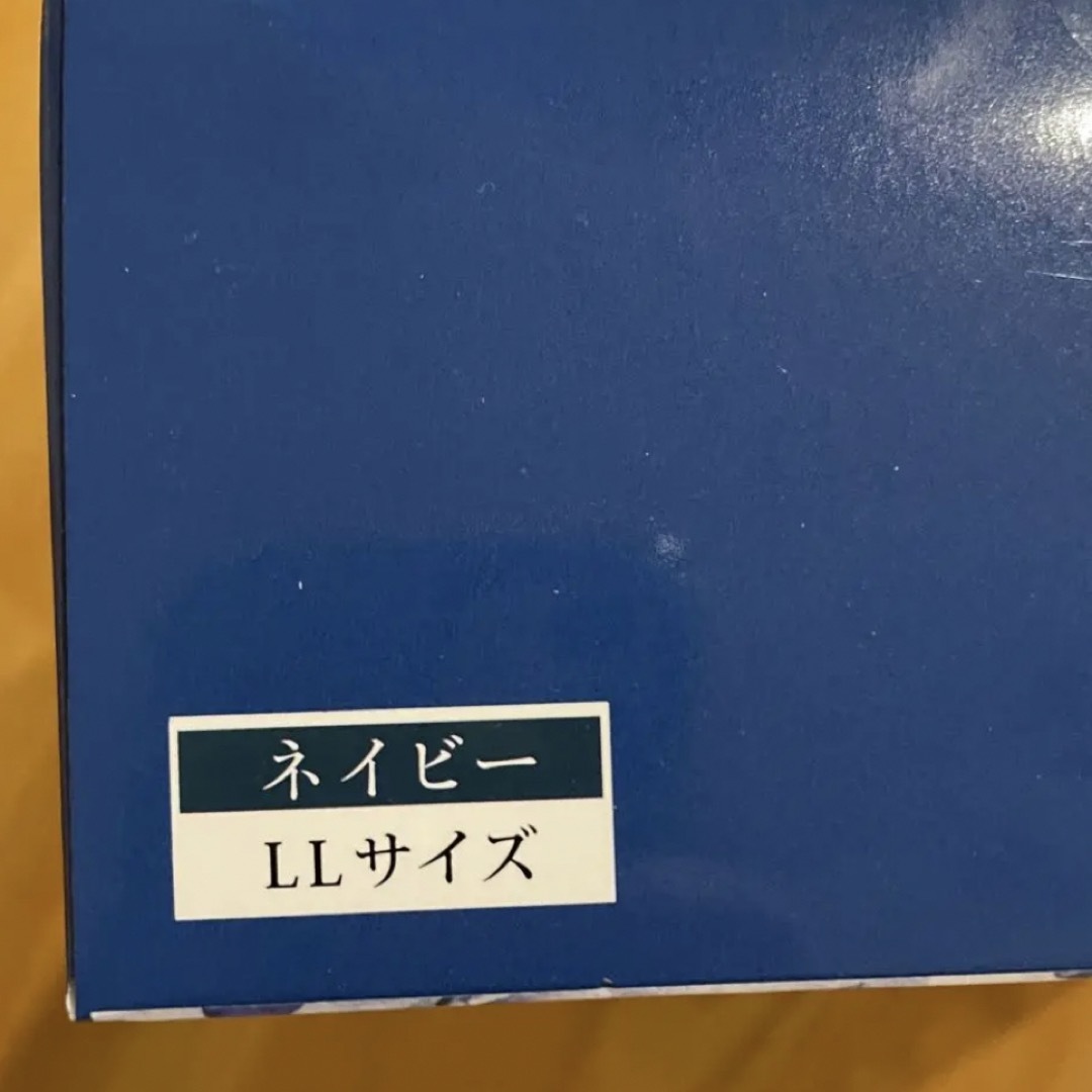 VIAGE(ヴィアージュ)のViage ナイトブラ　LLサイズ　ネイビー レディースの下着/アンダーウェア(その他)の商品写真