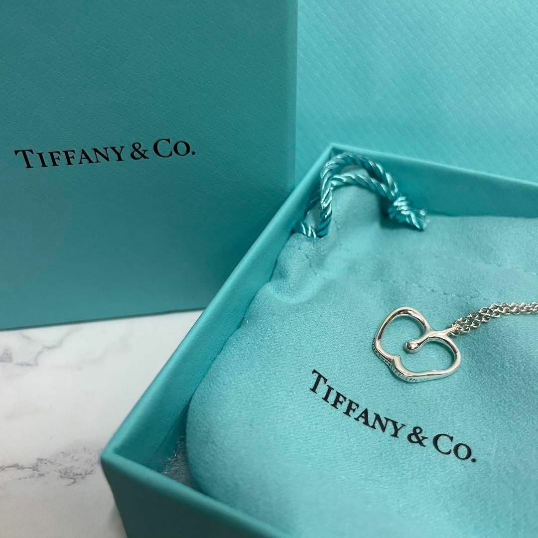 Tiffany & Co.   美品Tiffany ティファニー アップル ネックレス