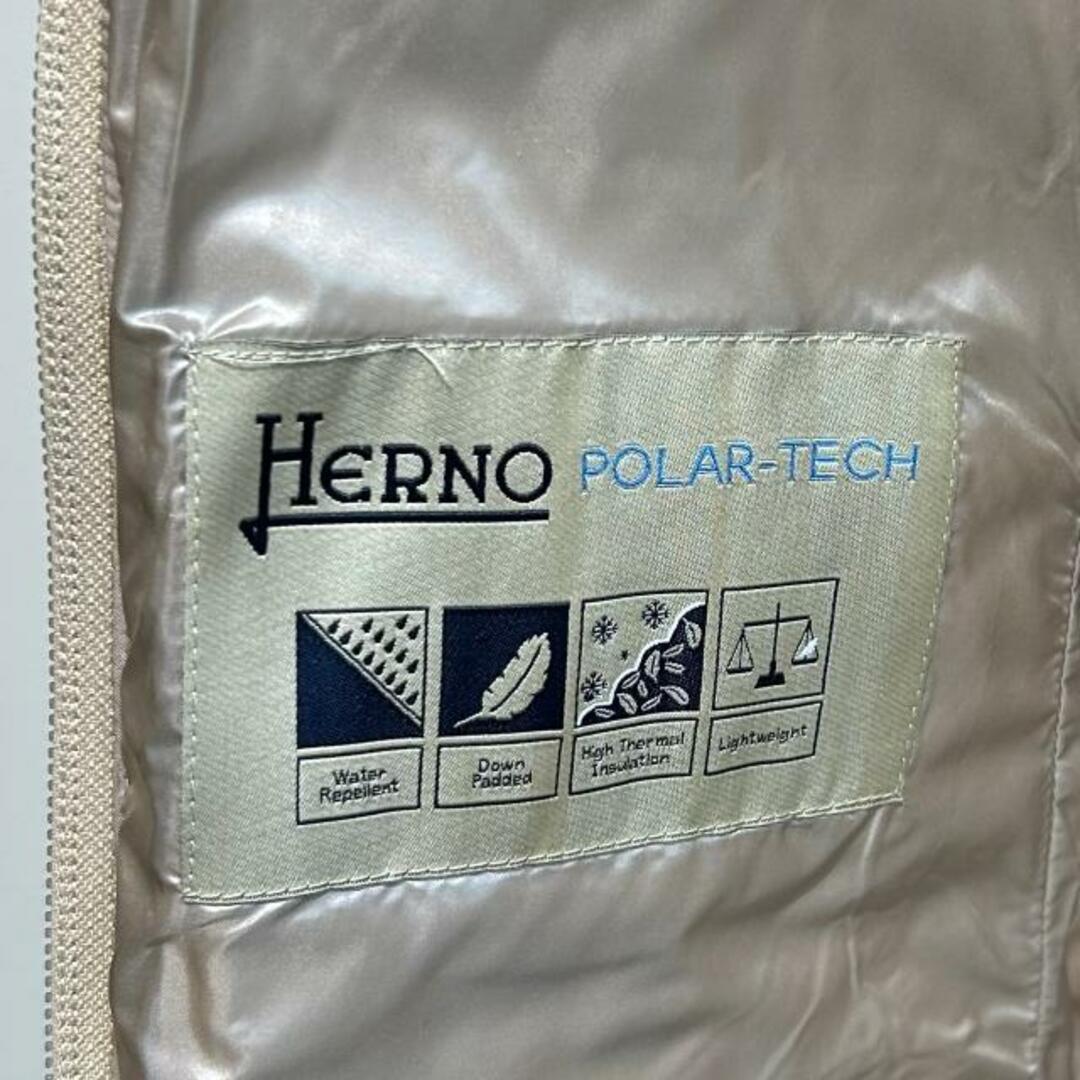 HERNO(ヘルノ)のHERNO(ヘルノ) PI001542D ロングダウン Chantilly レディースのジャケット/アウター(ダウンジャケット)の商品写真