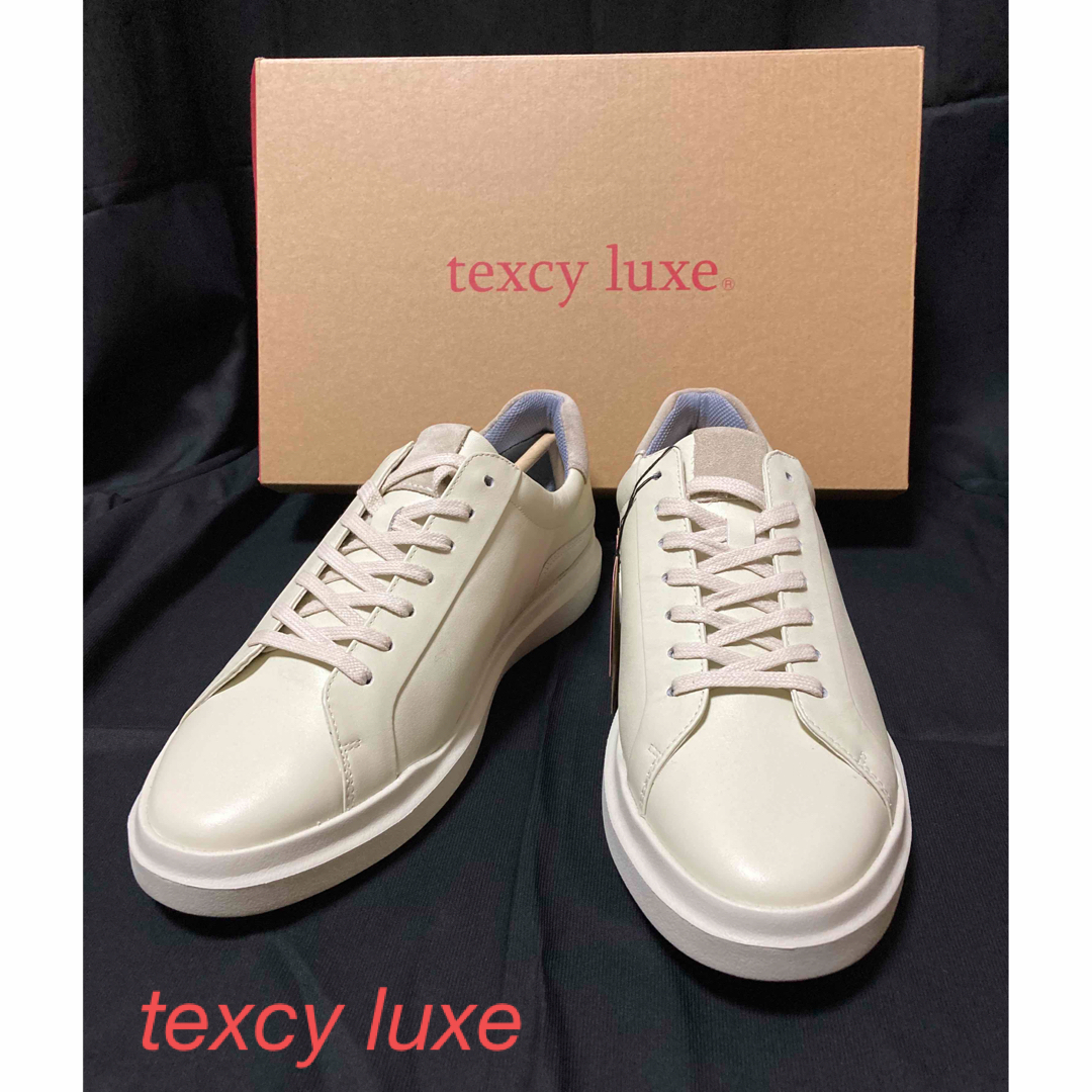 asics(アシックス)のtexcy luxe テクシーリュクス　26.5cm     未使用品 メンズの靴/シューズ(ドレス/ビジネス)の商品写真