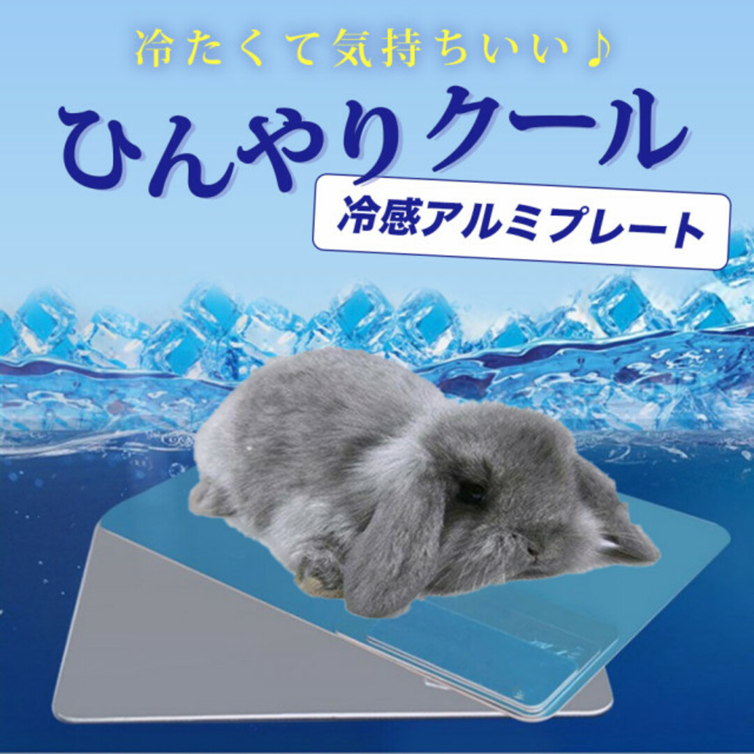 冷感アルミプレート 10×4cm 小動物 夏 熱中症対策 ハムスター ペット 通販