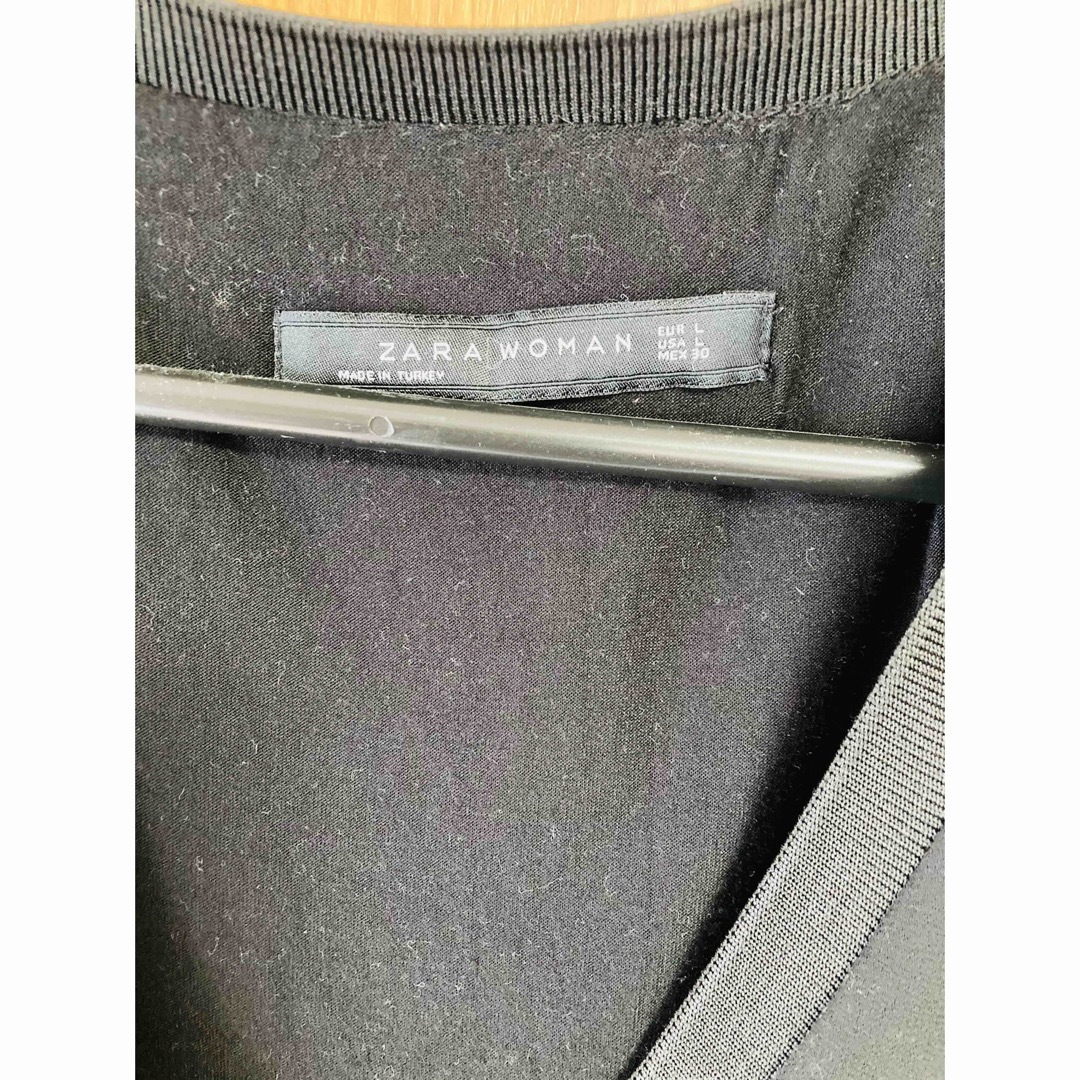 ZARA(ザラ)のZARA WOMAN ザラウーマン シアー素材 秋服  レディースのトップス(シャツ/ブラウス(長袖/七分))の商品写真