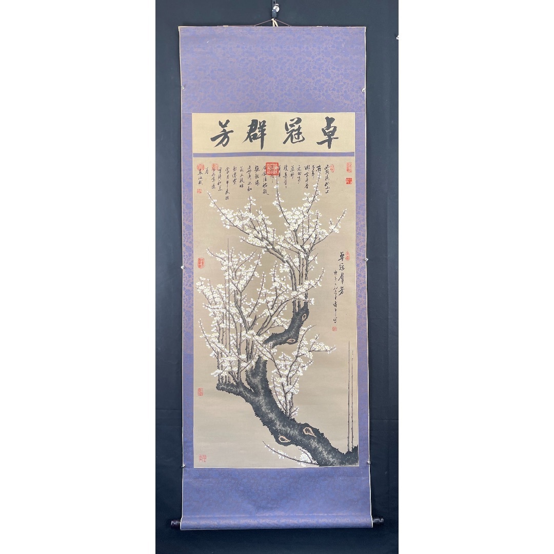 陳情令】DVDBOX2 通常版 www.krzysztofbialy.com