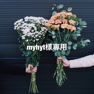 myhyt様専用(その他)