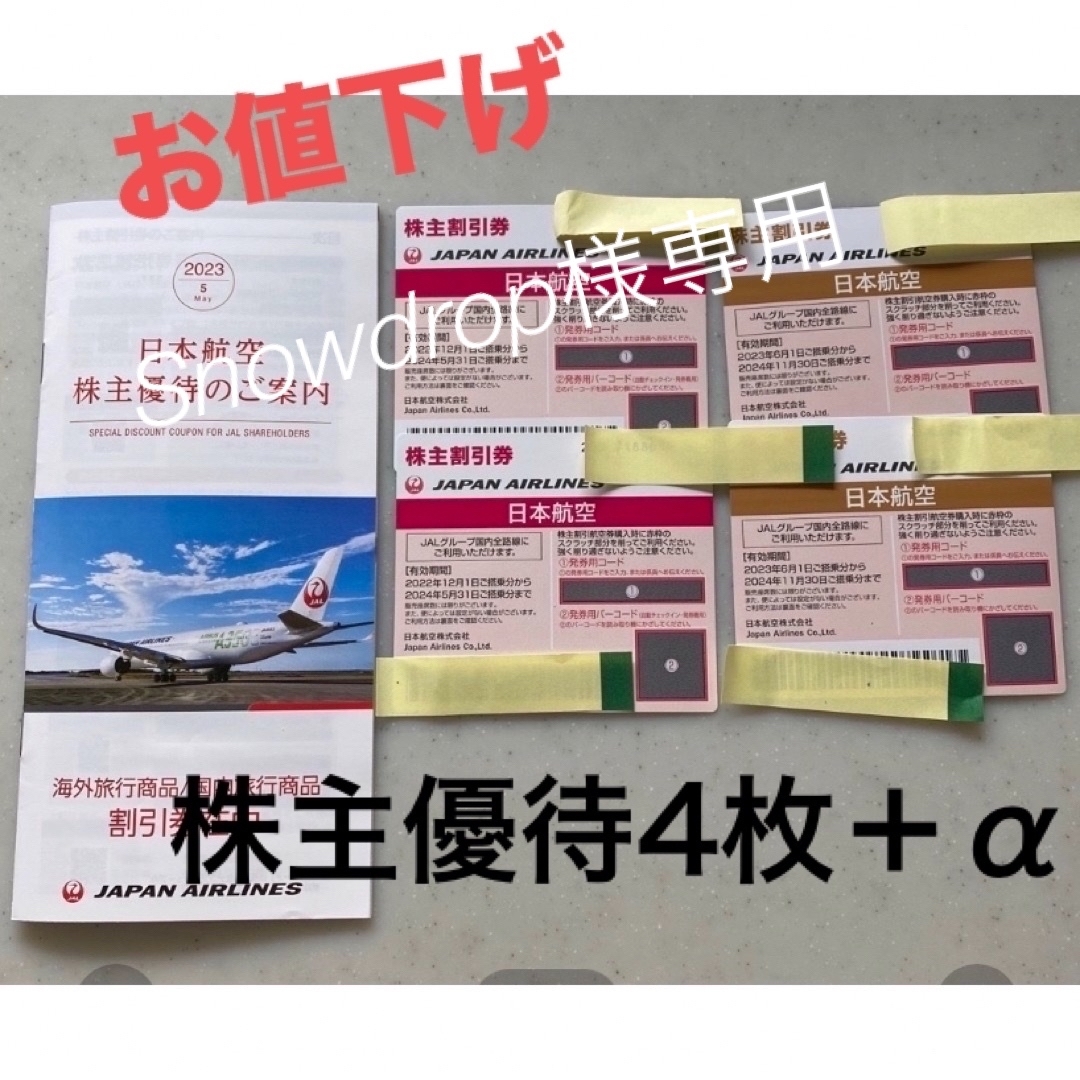 JAL株主優待4枚 期限2024/5/31(2枚)&11/30(2枚) +割引券 - 航空券