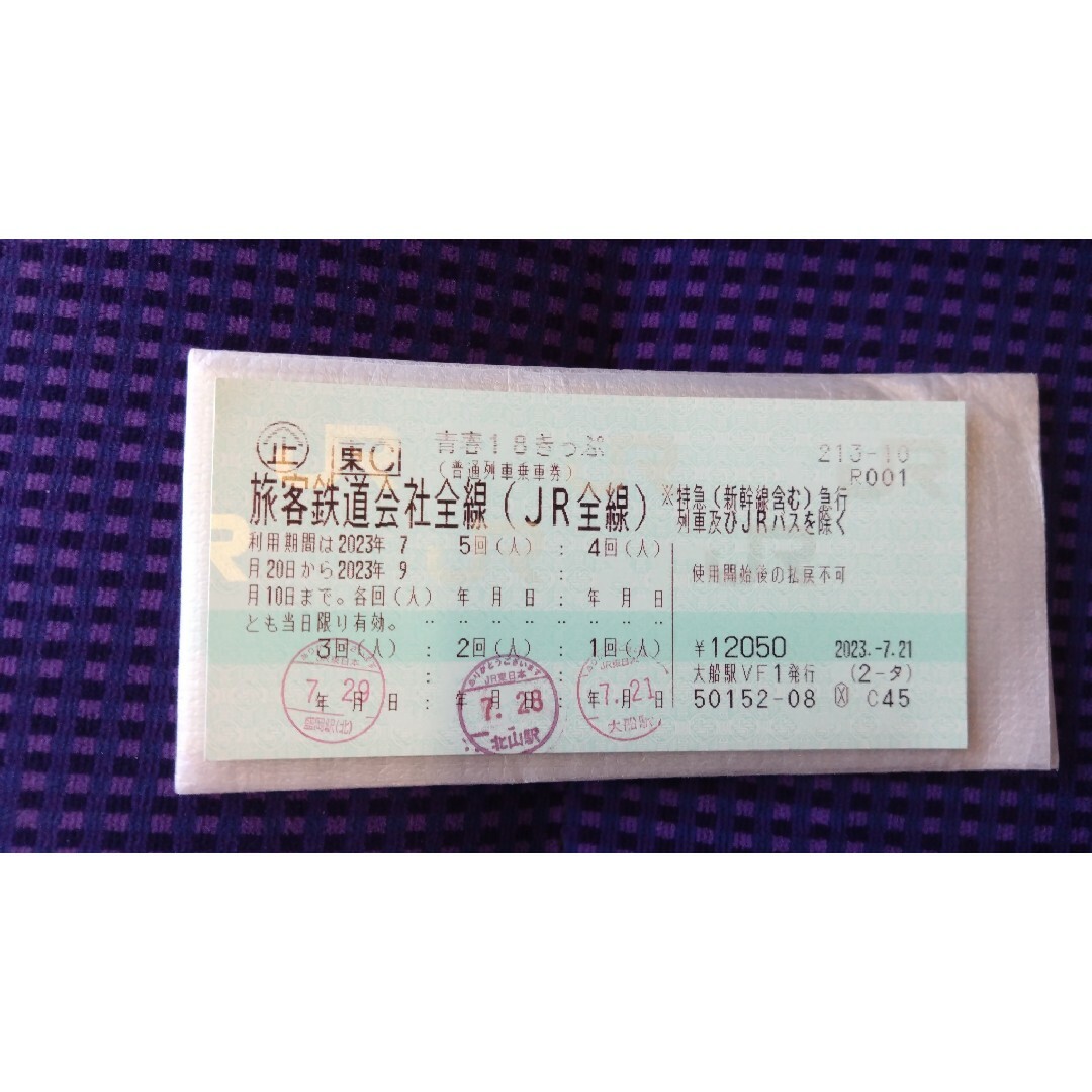 18きっぷ 残り2回 - 鉄道乗車券