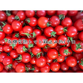 甘い！有機完熟トマト　箱込み約1キロ(野菜)