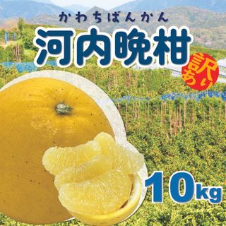 【訳あり】河内晩柑　みしょうゴールド　10kg(フルーツ)