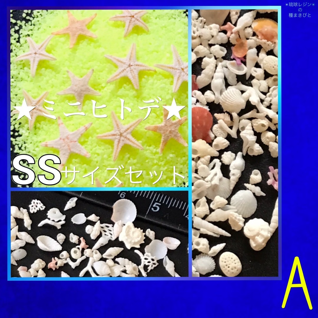 琉球*海のたね　ミニヒトデ　SSサイズ  Aセット ハンドメイドの素材/材料(各種パーツ)の商品写真