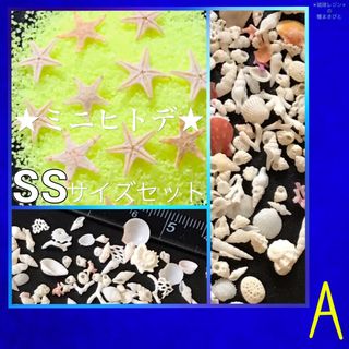 琉球*海のたね　ミニヒトデ　SSサイズ  Aセット(各種パーツ)