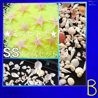 琉球*海のたね　ミニヒトデ　SSサイズ  Bセット(各種パーツ)