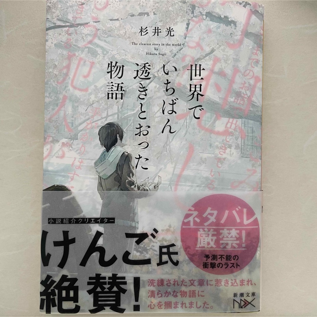 世界でいちばん透きとおった物語 エンタメ/ホビーの本(文学/小説)の商品写真