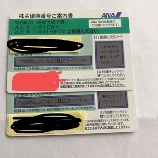 エーエヌエー(ゼンニッポンクウユ)(ANA(全日本空輸))のkeni様用 ANA株主優待券2枚(航空券)