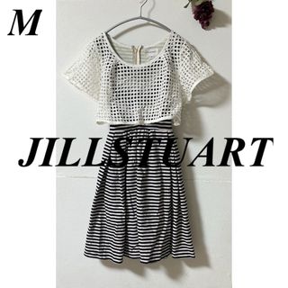 ジルスチュアート(JILLSTUART)のJILLSTUART ジルスチュアート ボーダーワンピース(ひざ丈ワンピース)