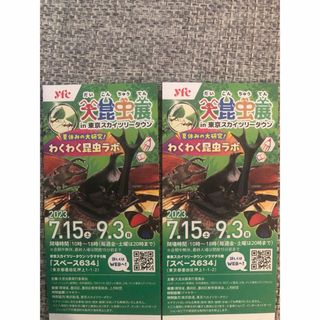 大昆虫展　in東京スカイツリータウン　ご招待券2枚(美術館/博物館)