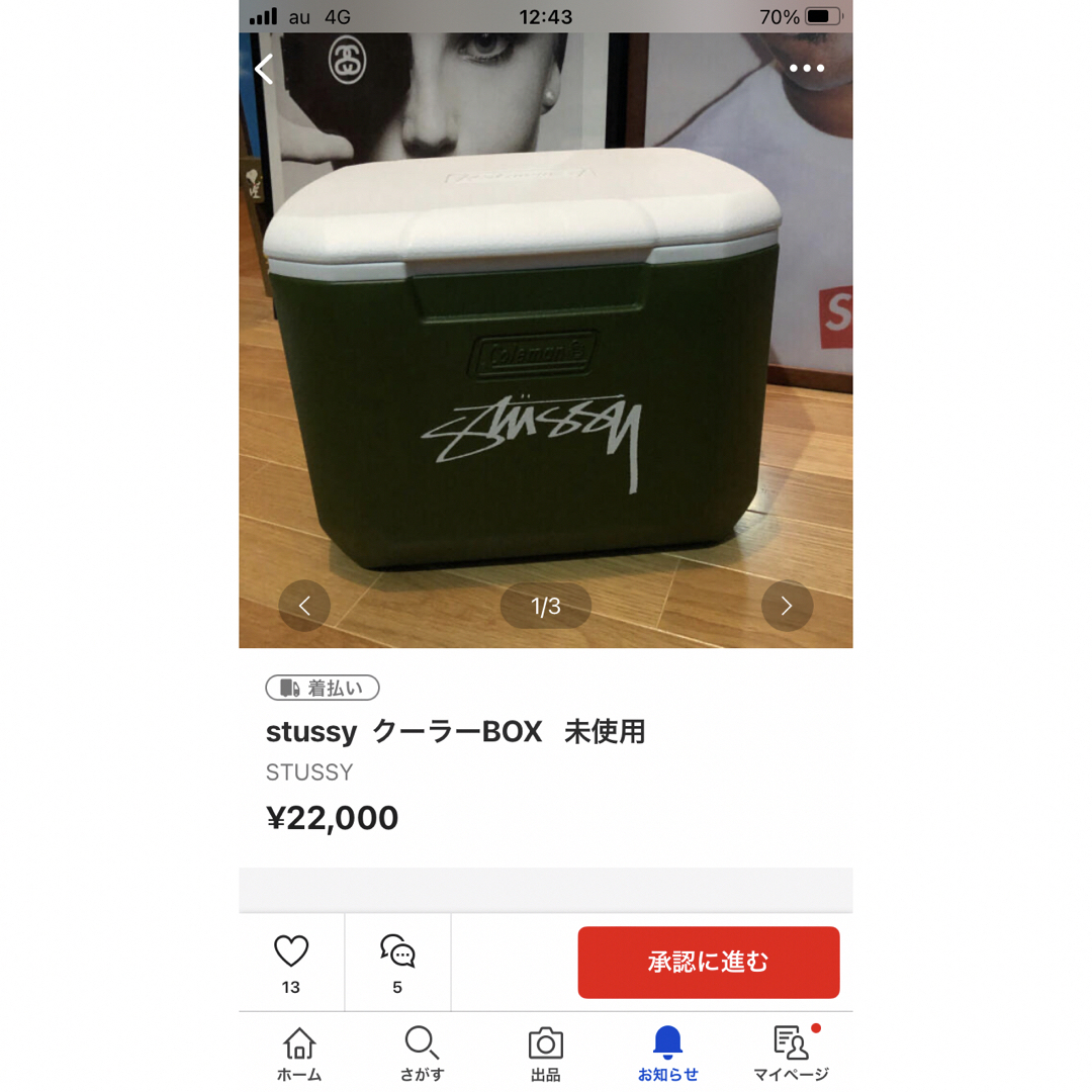 STUSSY(ステューシー)の専用送料込み スポーツ/アウトドアのアウトドア(その他)の商品写真