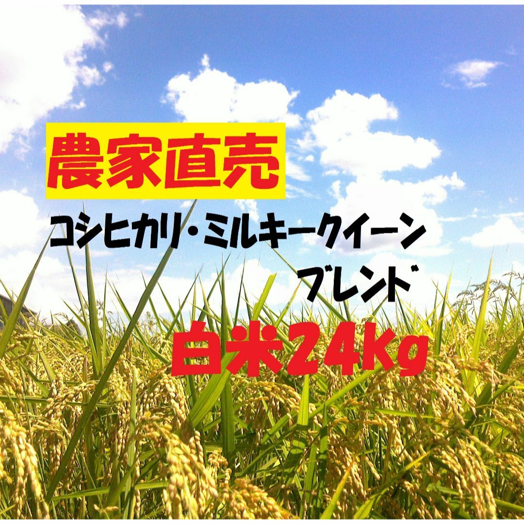 もうすぐ値上げ！【令和2年度】白米30kg （5kg×6）長野県産コシヒカリ