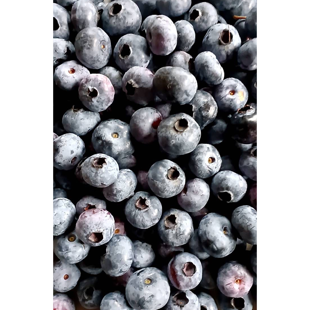 【完全無農薬】生ブルーベリー１kg 食品/飲料/酒の食品(フルーツ)の商品写真