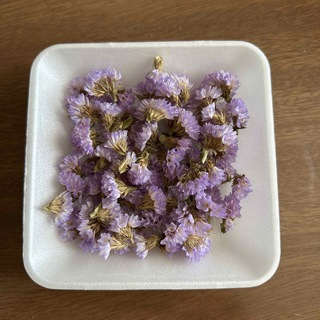 スターチス　紫　花のみ(ドライフラワー)