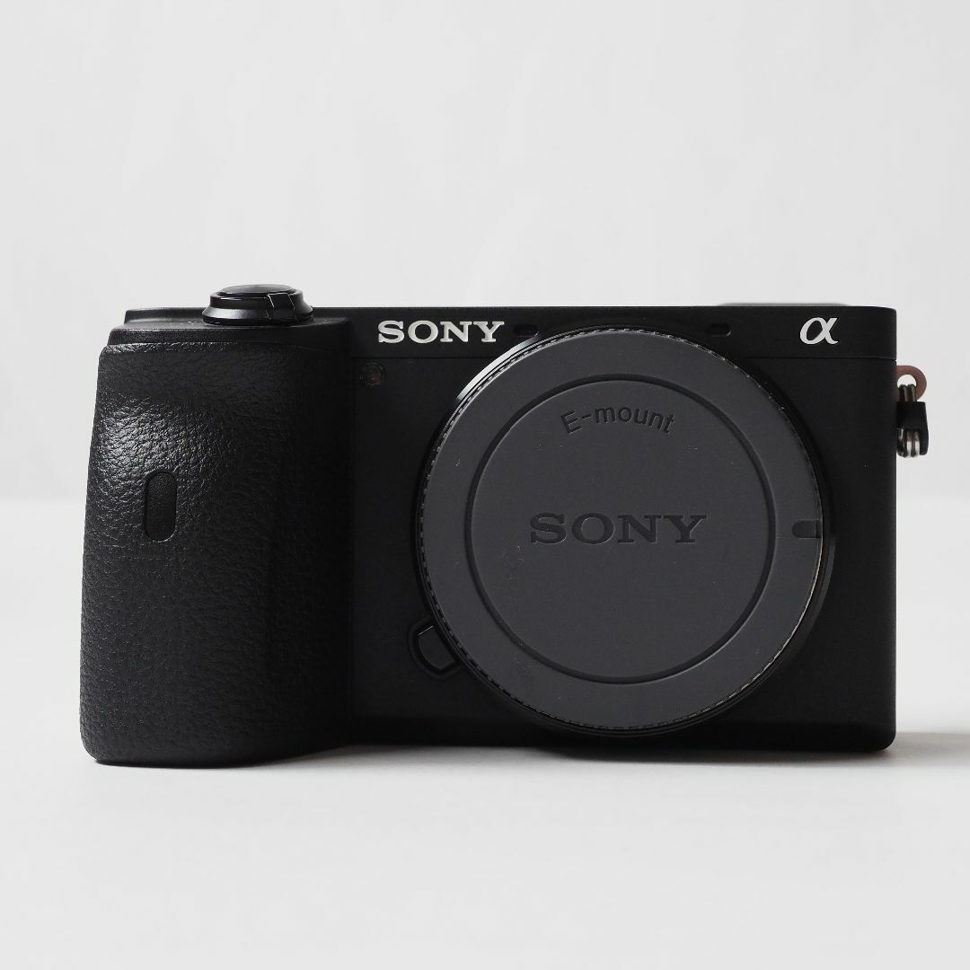 110000円 α6600 ILCE-6600 SONY デジタル一眼カメラ mercuridesign.com