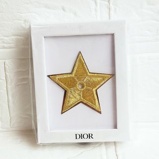 ☆未使用品☆DIOR ピンブローチ ロゴチャーム トロッター