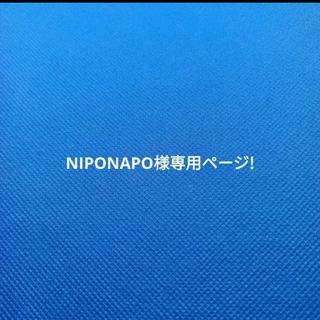 NIPONAPO様専用ページ!(その他)