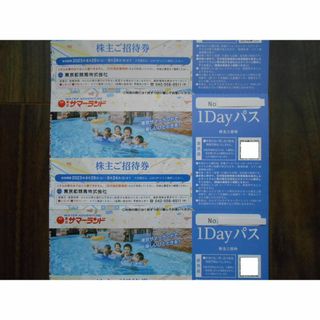 東京サマーランド 株主ご招待券 1Dayパス 2枚 株主優待 ②(遊園地/テーマパーク)
